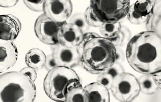 Genetically Modified Organisms 1 Genetically Modified Organisms | Cryoniss